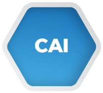 CAI - The A-Z of eLearning Acronyms (With bonus explanations from experts) | TalentLMS Blog