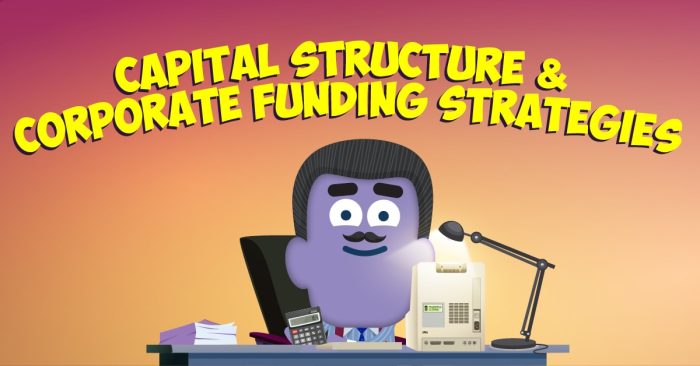 Capital Structure and Corporate Funding Strategies