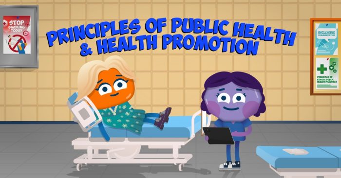 Principles of Public Health and Health Promotion