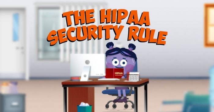 The HIPAA Security Rule