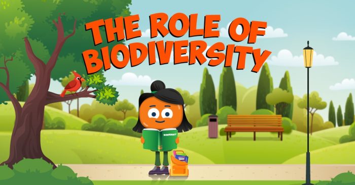 The Role of Biodiversity