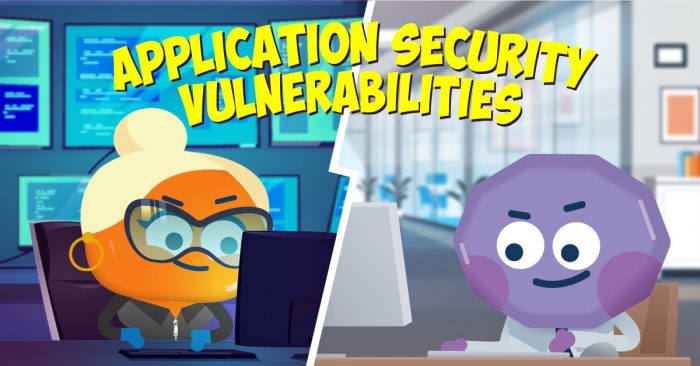 Application Security Vulnerabilities