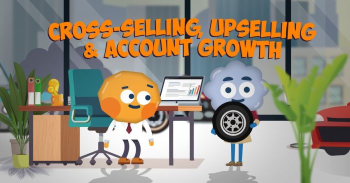 Cross-Selling, Upselling & Account Growth