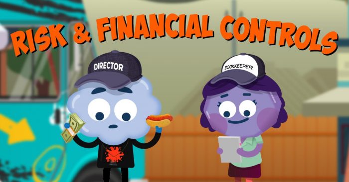 Risk & Financial Controls