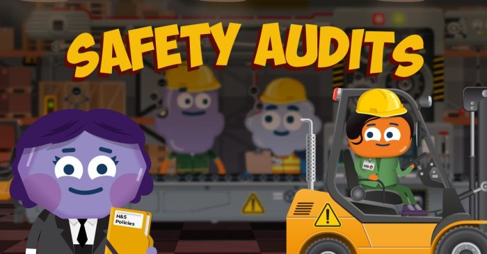 Safety Audits