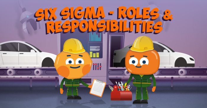 Six Sigma – Roles and Responsibilities