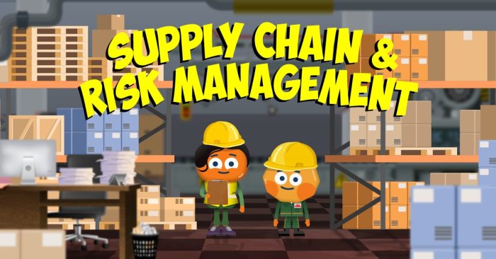 Supply Chain and Risk Management