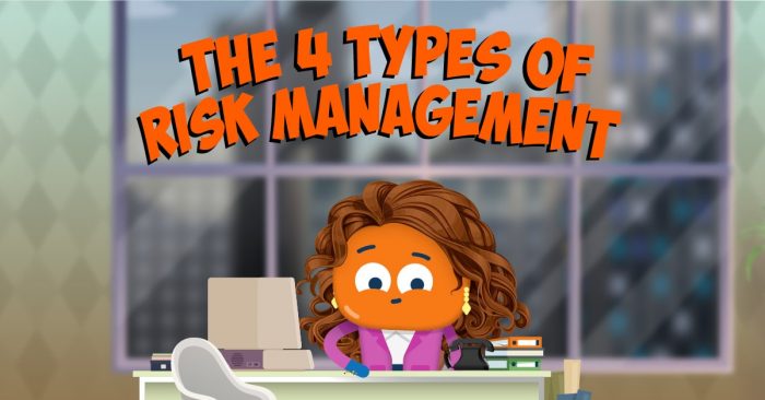 The 4 Types of Risk Management