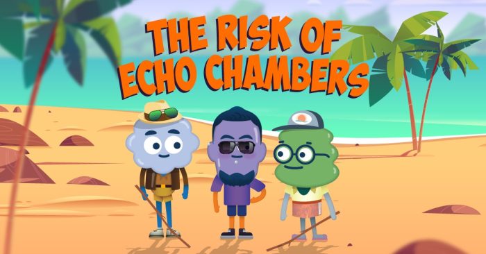 The Risk of Echo Chambers