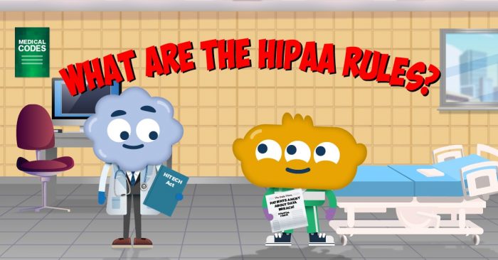What are the HIPAA rules?