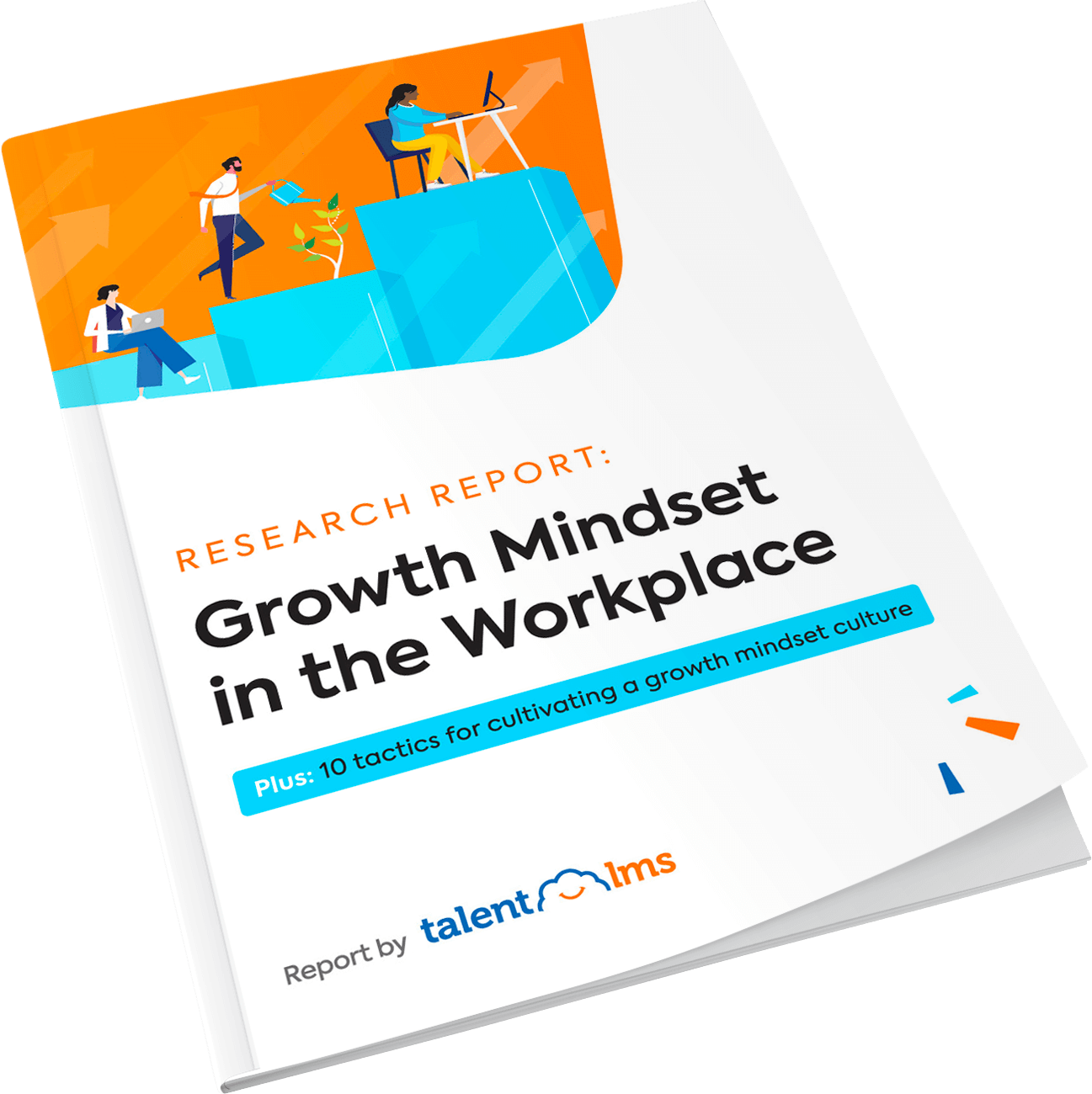 Research Report on Growth Mindset in the Workplace